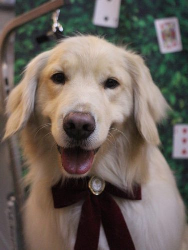 20250426ナナちゃん